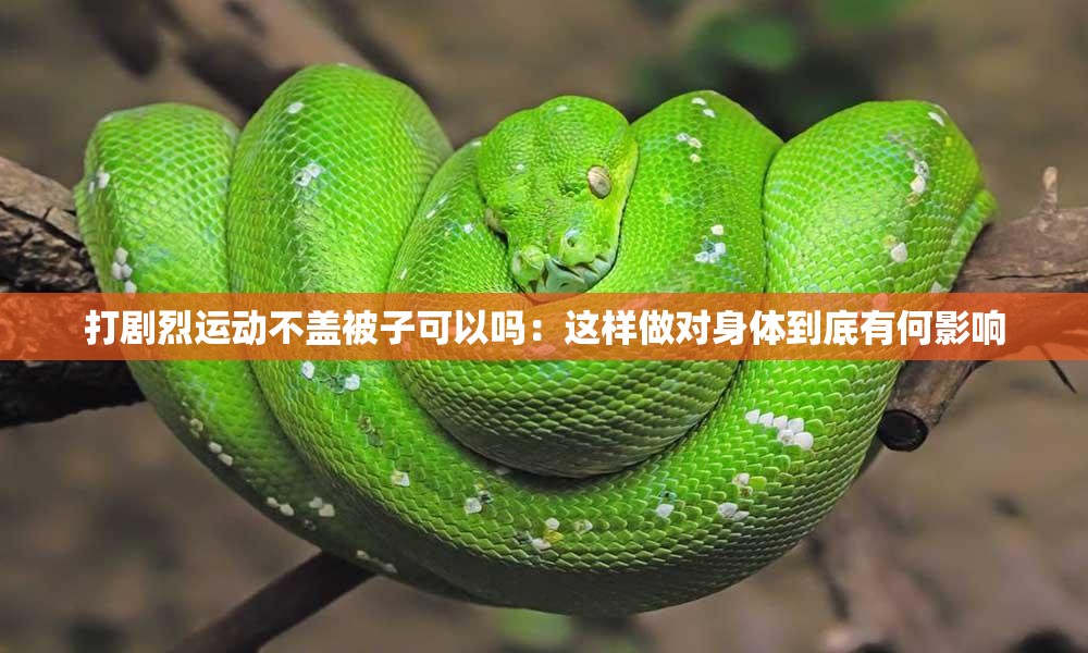 打剧烈运动不盖被子可以吗：这样做对身体到底有何影响