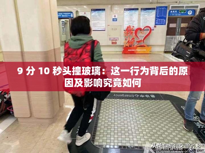 9 分 10 秒头撞玻璃：这一行为背后的原因及影响究竟如何