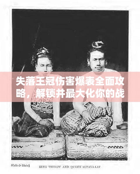 失落王冠伤害爆表全面攻略，解锁并最大化你的战斗潜能与技巧