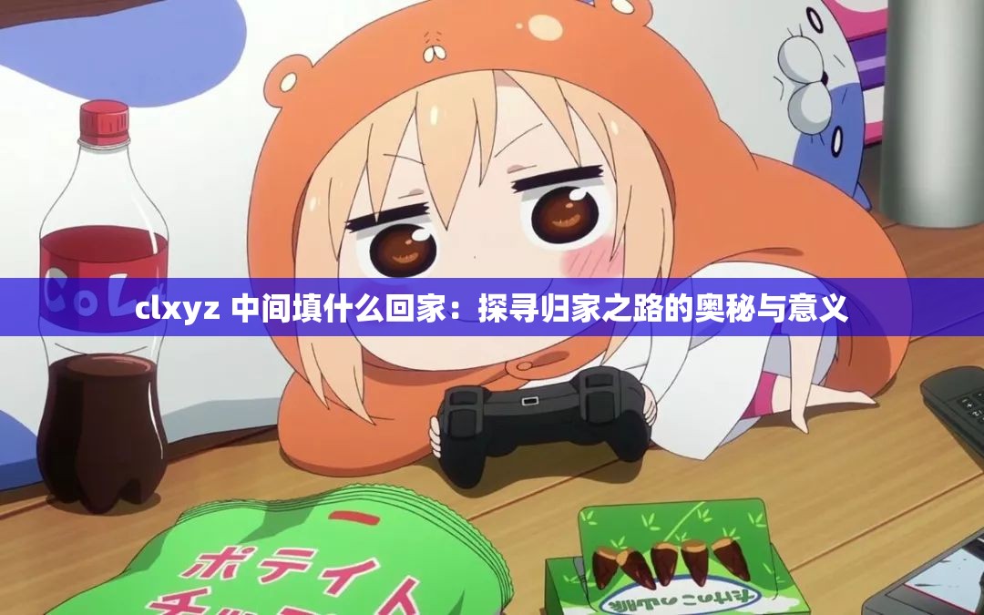 clxyz 中间填什么回家：探寻归家之路的奥秘与意义