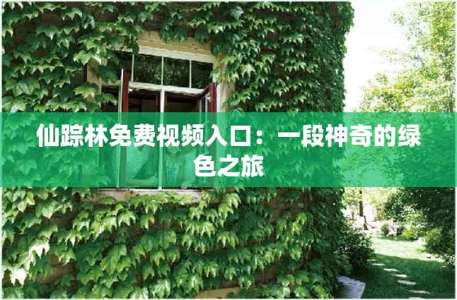 仙踪林免费视频入口：一段神奇的绿色之旅
