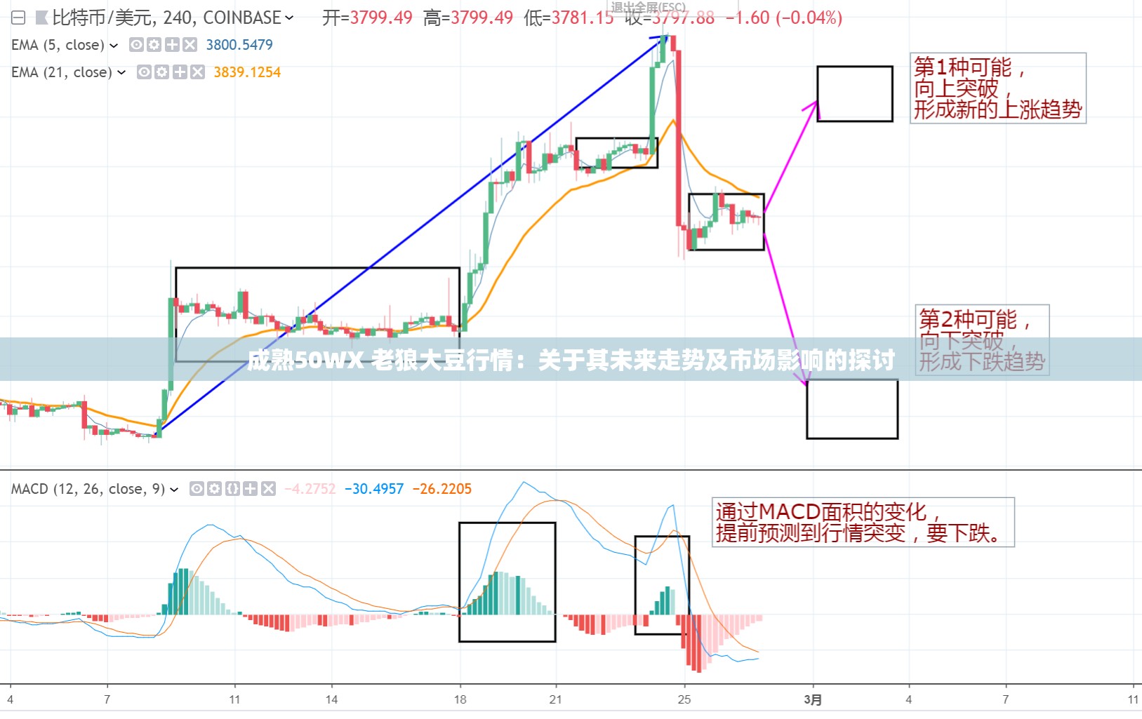 成熟50WX 老狼大豆行情：关于其未来走势及市场影响的探讨