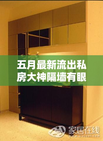 五月最新流出私房大神隔墙有眼原创厕拍：私密空间的惊人秘密