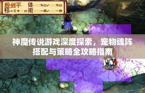 神魔传说游戏深度探索，宠物魂阵搭配与策略全攻略指南