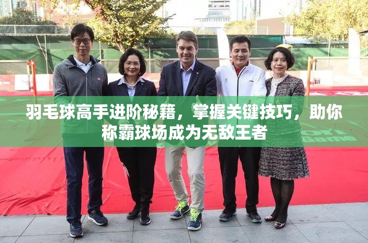 羽毛球高手进阶秘籍，掌握关键技巧，助你称霸球场成为无敌王者
