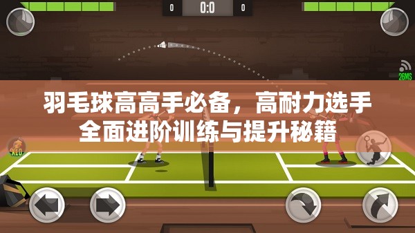 羽毛球高高手必备，高耐力选手全面进阶训练与提升秘籍