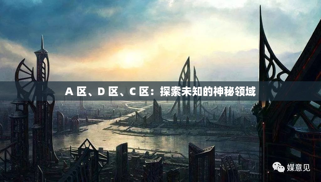 A 区、D 区、C 区：探索未知的神秘领域