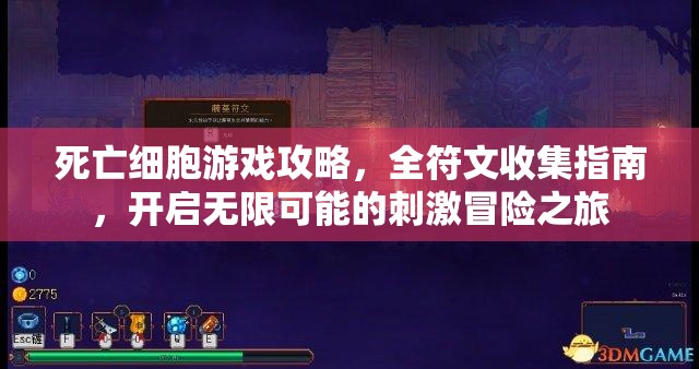 死亡细胞游戏攻略，全符文收集指南，开启无限可能的刺激冒险之旅
