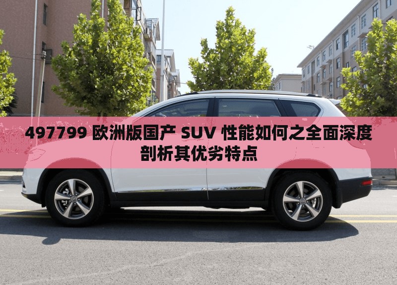 497799 欧洲版国产 SUV 性能如何之全面深度剖析其优劣特点