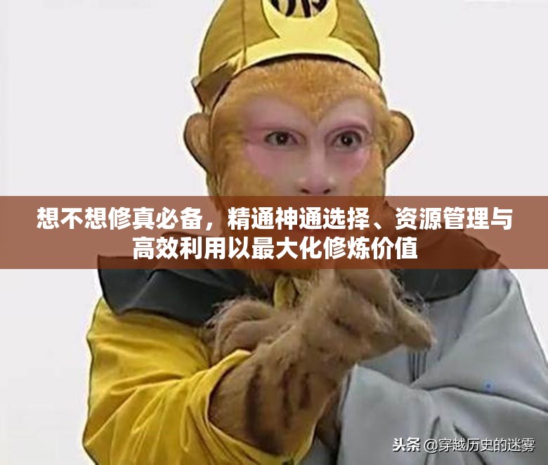 想不想修真必备，精通神通选择、资源管理与高效利用以最大化修炼价值