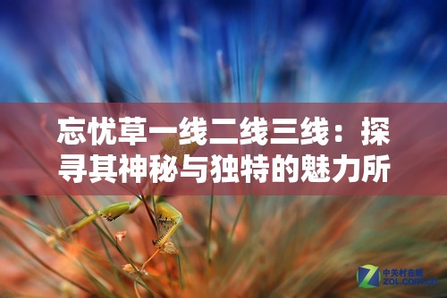 忘忧草一线二线三线：探寻其神秘与独特的魅力所在