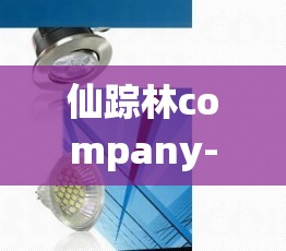 仙踪林company-Limited19内置超强音效：带你沉浸音乐世界