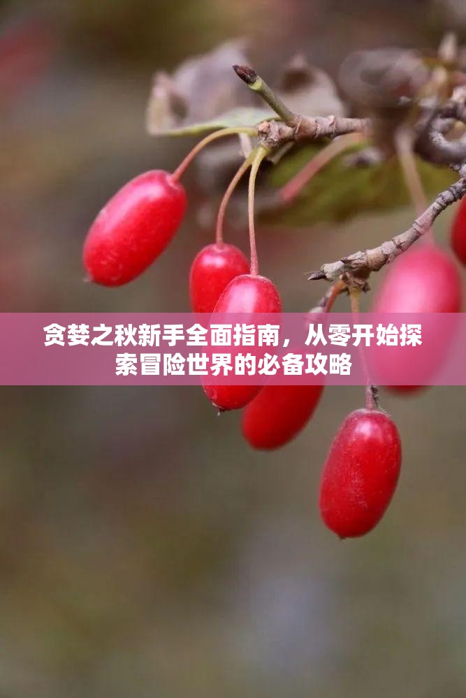 贪婪之秋新手全面指南，从零开始探索冒险世界的必备攻略