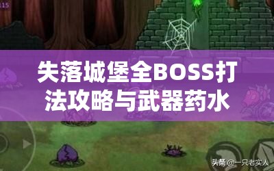 失落城堡全BOSS打法攻略与武器药水特性详解指南