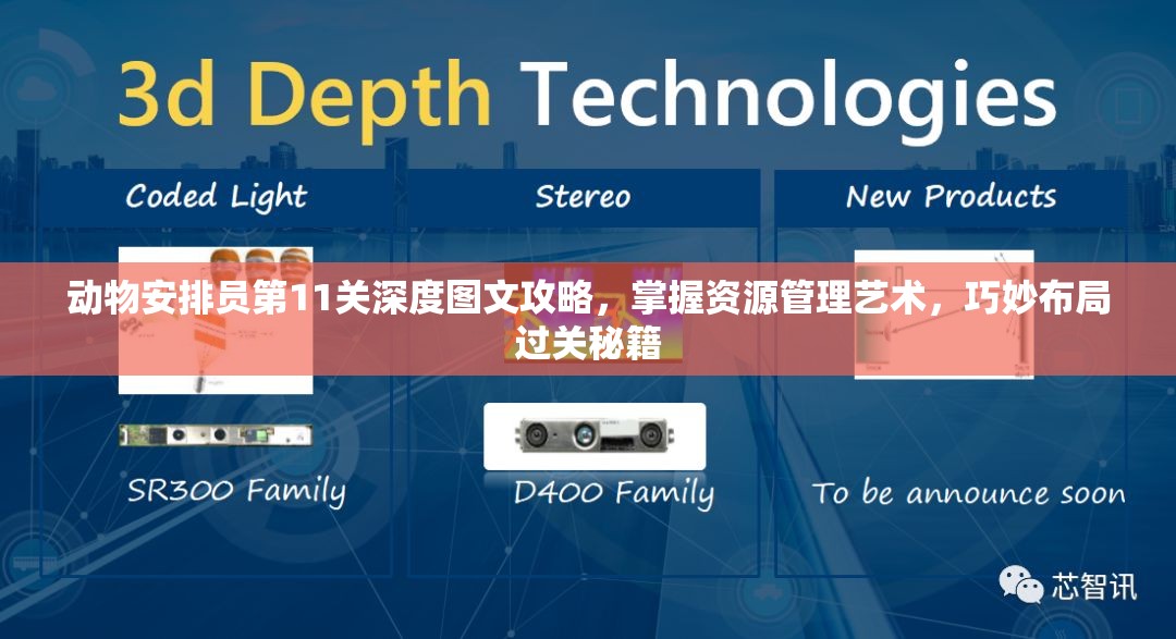 动物安排员第11关深度图文攻略，掌握资源管理艺术，巧妙布局过关秘籍