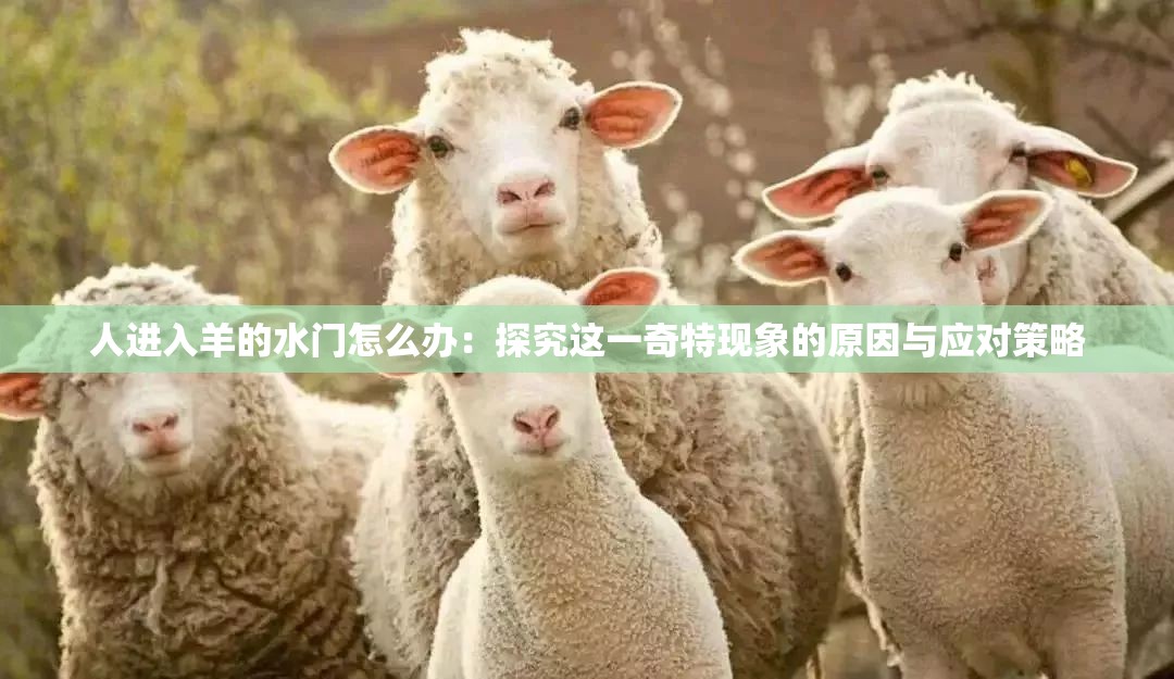人进入羊的水门怎么办：探究这一奇特现象的原因与应对策略