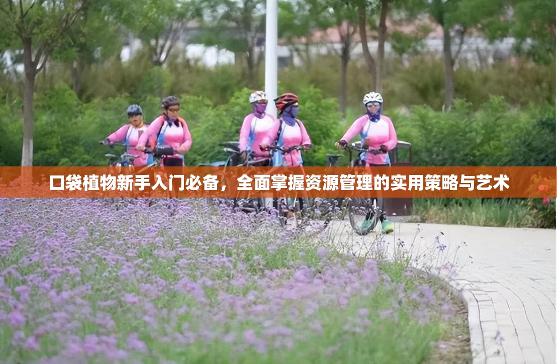 口袋植物新手入门必备，全面掌握资源管理的实用策略与艺术