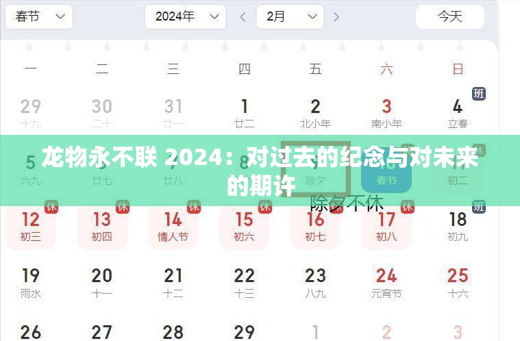 龙物永不联 2024：对过去的纪念与对未来的期许