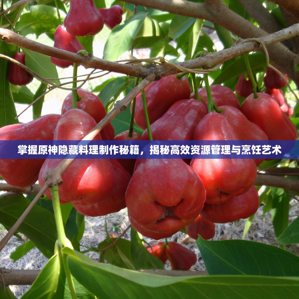 掌握原神隐藏料理制作秘籍，揭秘高效资源管理与烹饪艺术