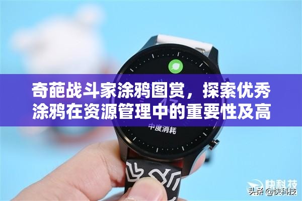 奇葩战斗家涂鸦图赏，探索优秀涂鸦在资源管理中的重要性及高效展示利用策略