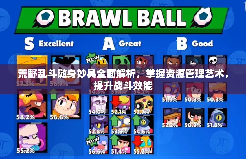 荒野乱斗随身妙具全面解析，掌握资源管理艺术，提升战斗效能