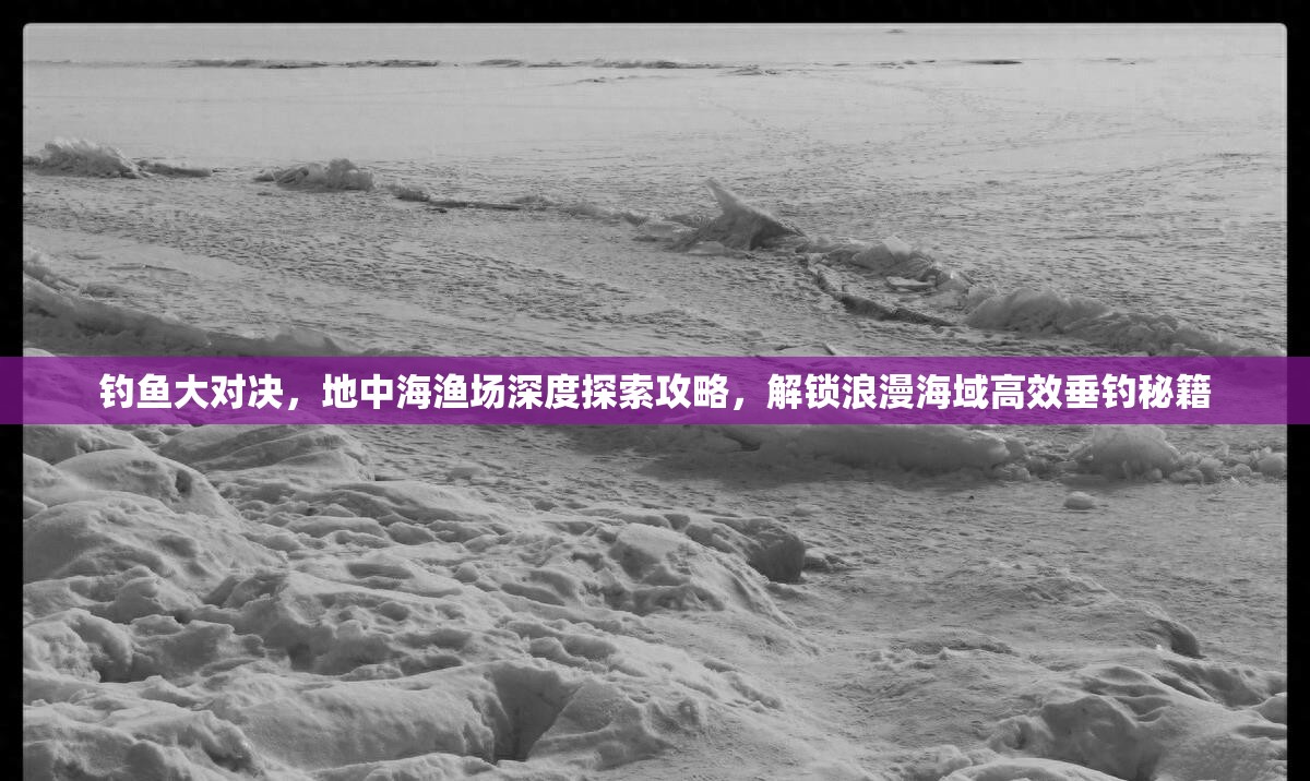 钓鱼大对决，地中海渔场深度探索攻略，解锁浪漫海域高效垂钓秘籍