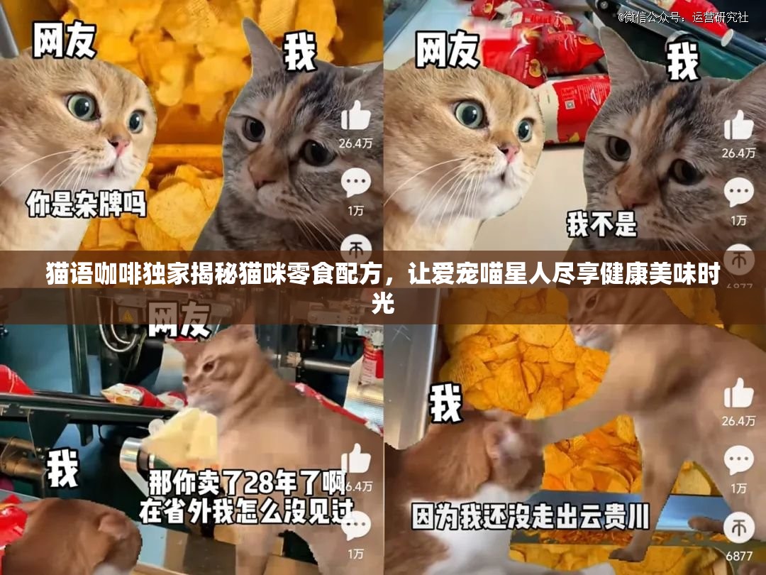 猫语咖啡独家揭秘猫咪零食配方，让爱宠喵星人尽享健康美味时光