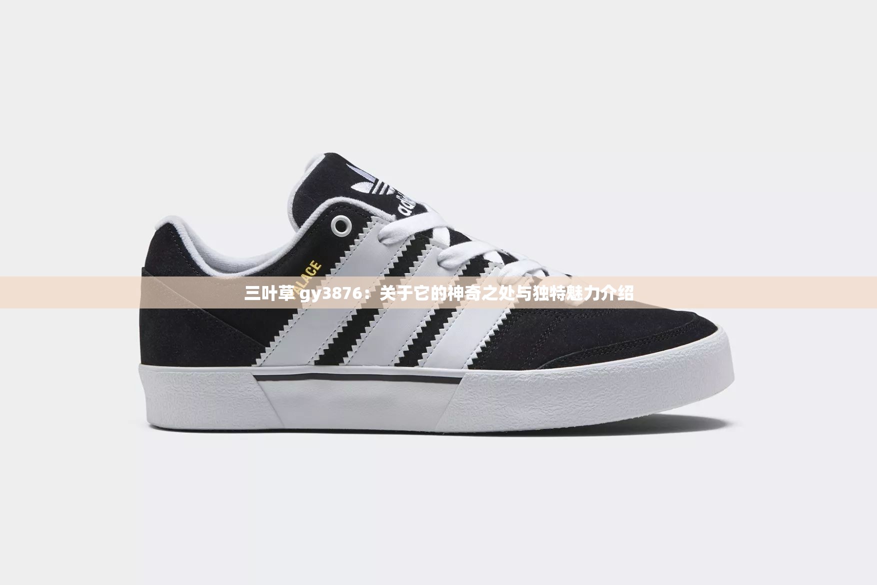 三叶草 gy3876：关于它的神奇之处与独特魅力介绍