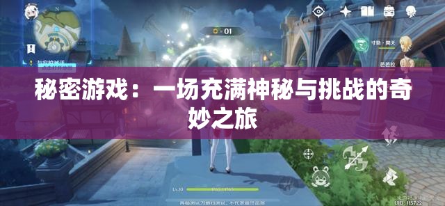 秘密游戏：一场充满神秘与挑战的奇妙之旅