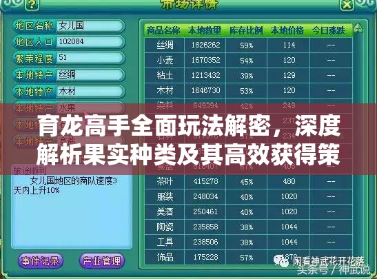 育龙高手全面玩法解密，深度解析果实种类及其高效获得策略