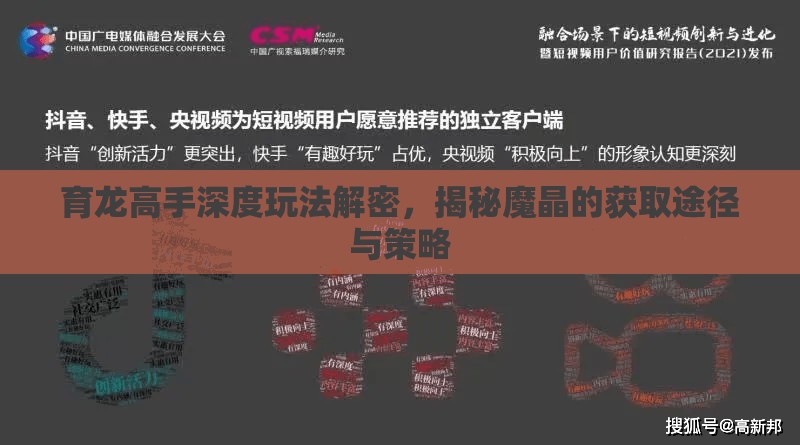 育龙高手深度玩法解密，揭秘魔晶的获取途径与策略