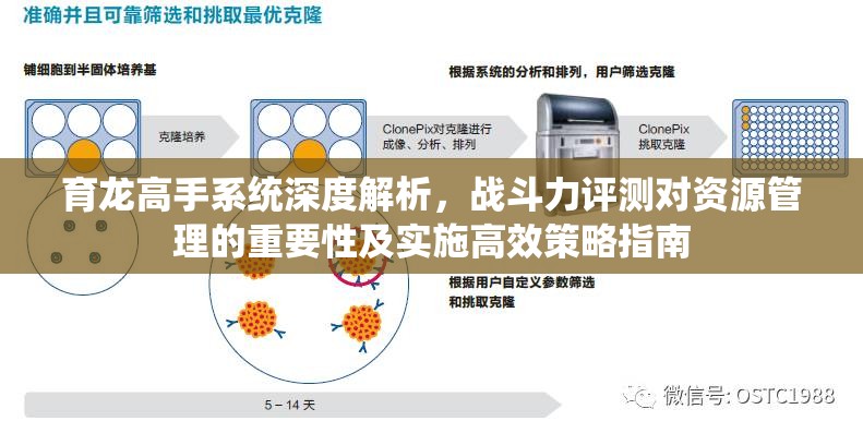 育龙高手系统深度解析，战斗力评测对资源管理的重要性及实施高效策略指南