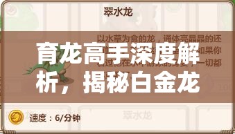 育龙高手深度解析，揭秘白金龙养成策略，掌握资源管理的至高艺术
