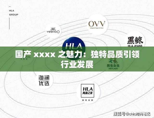 国产 xxxx 之魅力：独特品质引领行业发展