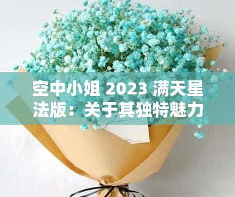 空中小姐 2023 满天星法版：关于其独特魅力与精彩呈现的探讨