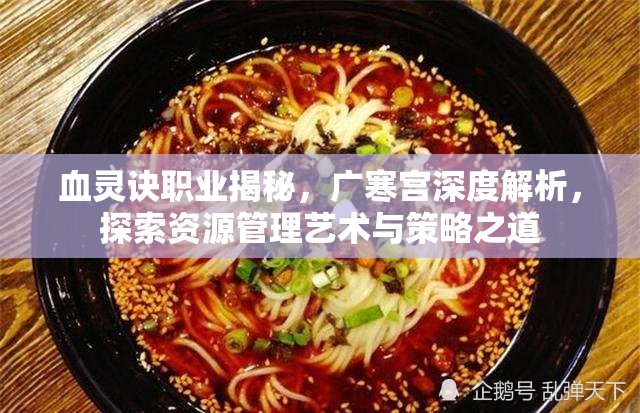 血灵诀职业揭秘，广寒宫深度解析，探索资源管理艺术与策略之道