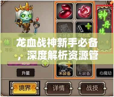 龙血战神新手必备，深度解析资源管理的策略与艺术