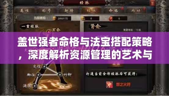 盖世强者命格与法宝搭配策略，深度解析资源管理的艺术与技巧