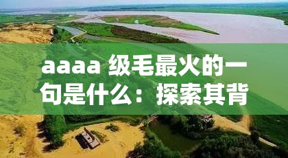 aaaa 级毛最火的一句是什么：探索其背后的秘密