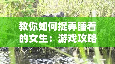 教你如何捉弄睡着的女生：游戏攻略