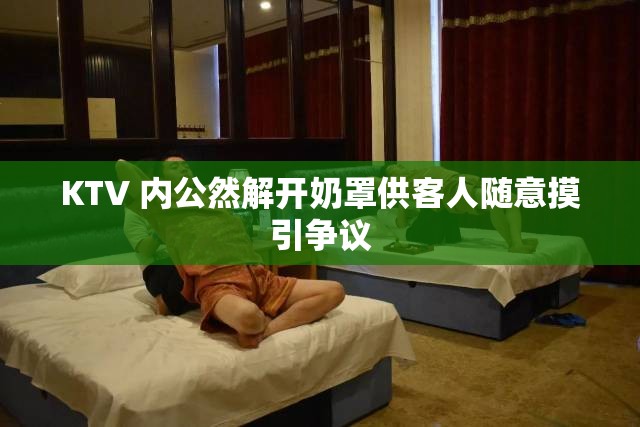 KTV 内公然解开奶罩供客人随意摸引争议