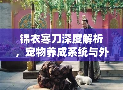 锦衣寒刀深度解析，宠物养成系统与外观全览，揭秘资源管理的高超艺术