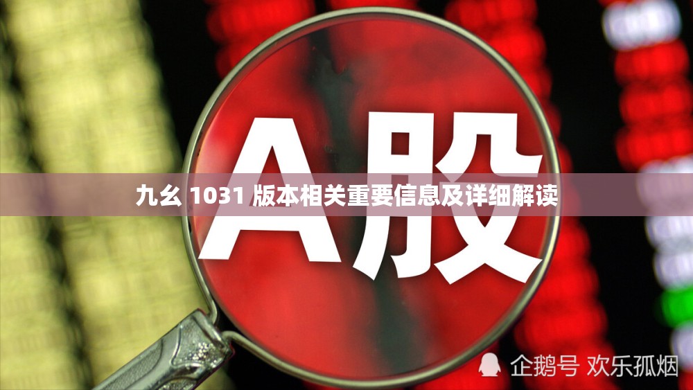 九幺 1031 版本相关重要信息及详细解读