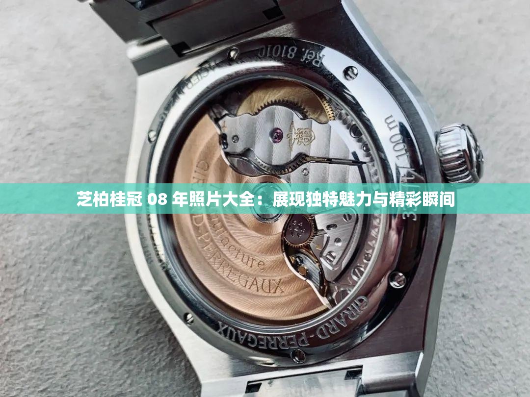 芝柏桂冠 08 年照片大全：展现独特魅力与精彩瞬间