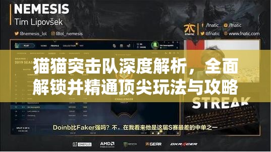 猫猫突击队深度解析，全面解锁并精通顶尖玩法与攻略指南