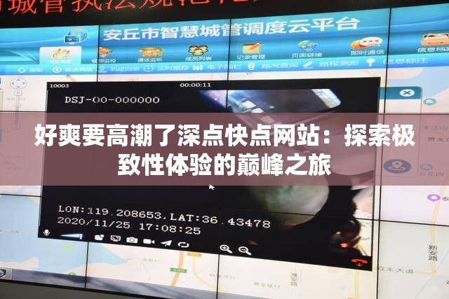 好爽要高潮了深点快点网站：探索极致性体验的巅峰之旅