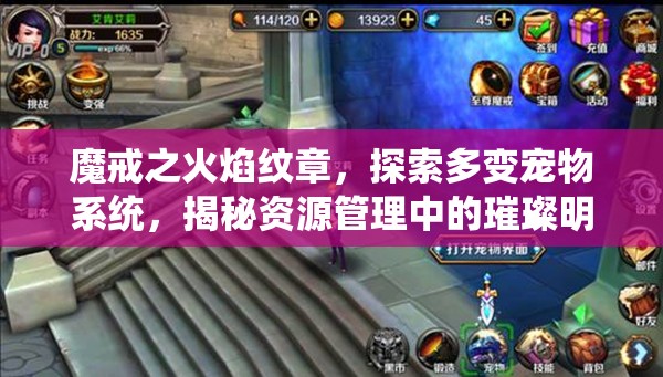 魔戒之火焰纹章，探索多变宠物系统，揭秘资源管理中的璀璨明珠