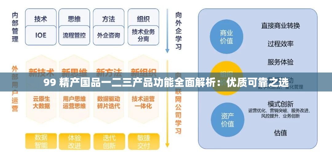 99 精产国品一二三产品功能全面解析：优质可靠之选