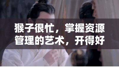 猴子很忙，掌握资源管理的艺术，开得好更需打得好策略