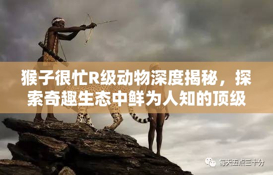 猴子很忙R级动物深度揭秘，探索奇趣生态中鲜为人知的顶级猎手之谜